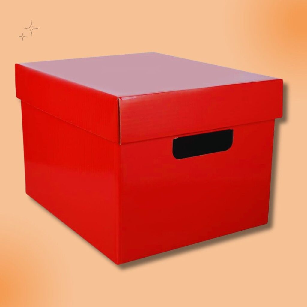 Corrugated Storage Boxes